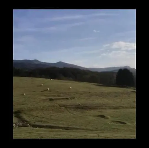 Shepherds Hut Lowri