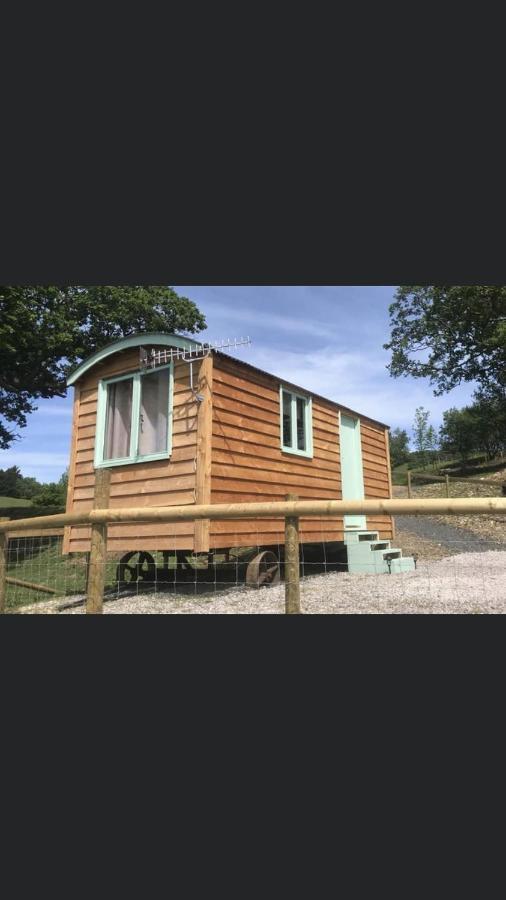 Shepherds Hut Lowri Dolgellau